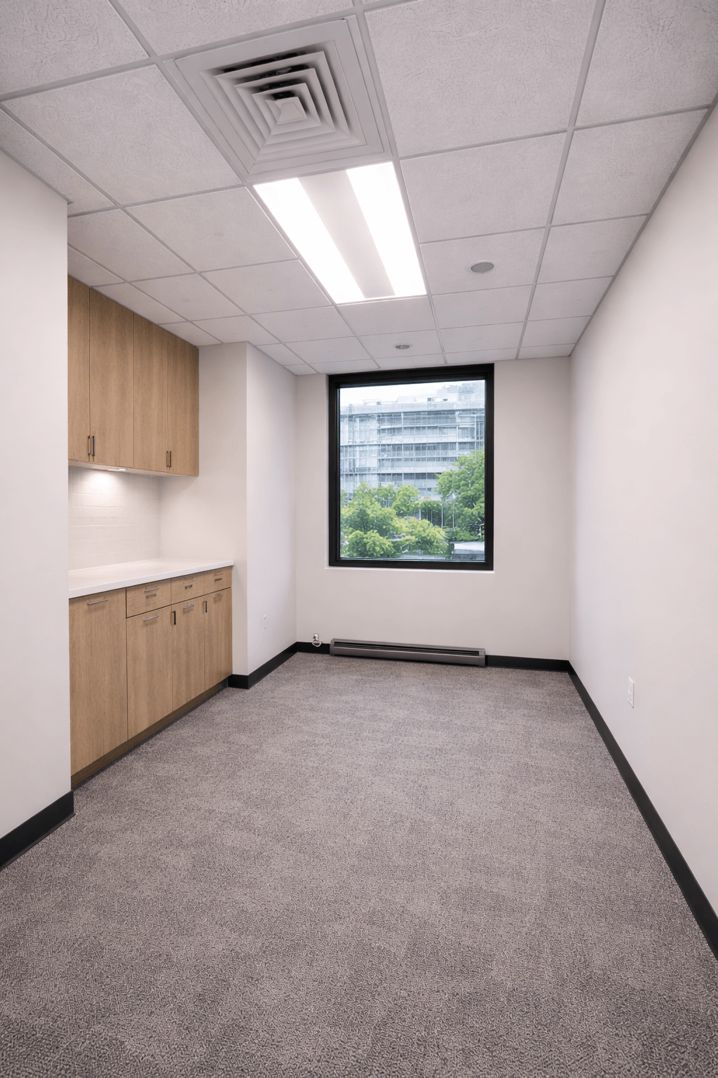 Acoustic Ceiling Project 2